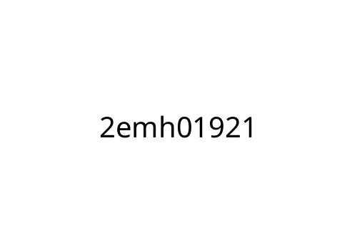 2emh01921