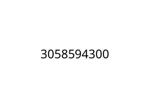 3058594300