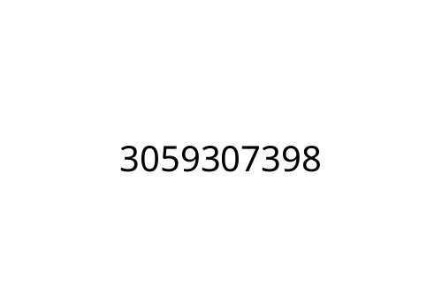 3059307398