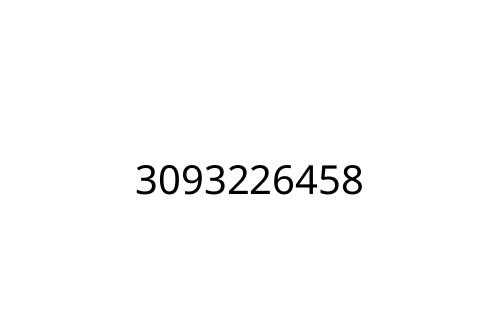 3093226458