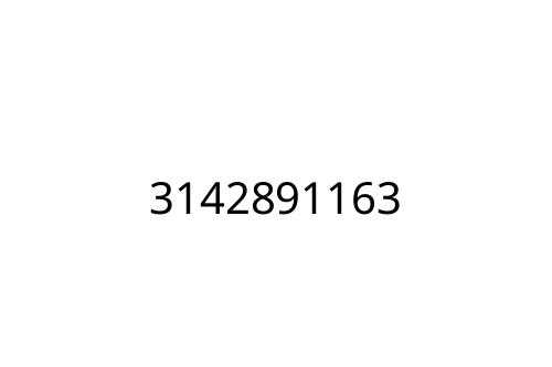 3142891163