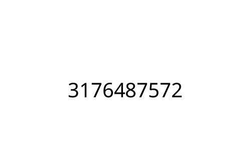 3176487572