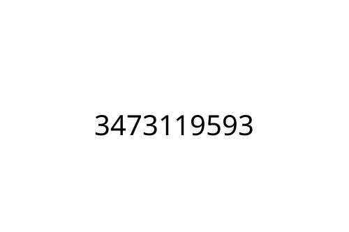3473119593