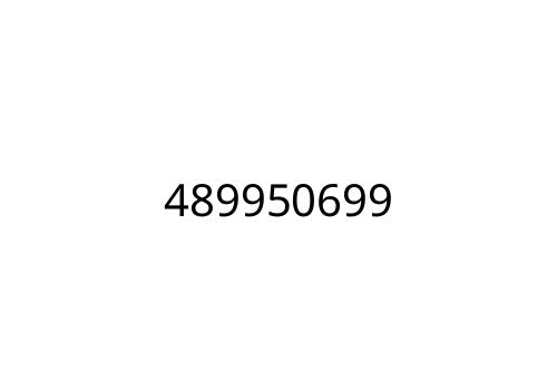 489950699
