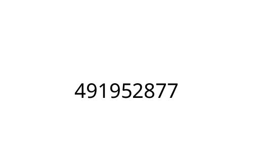 491952877