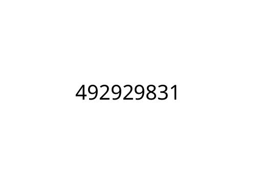 492929831