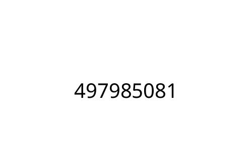 497985081