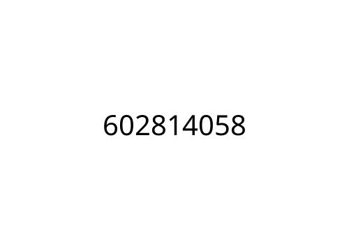 602814058