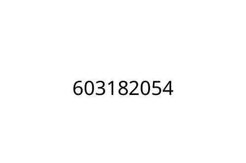 603182054