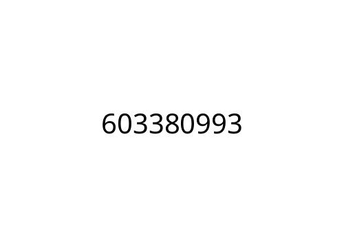 603380993