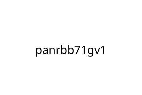 panrbb71gv1