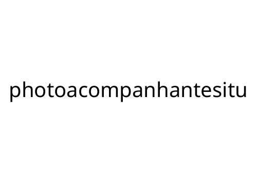 photoacompanhantesitu
