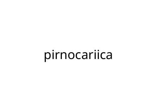 pirnocariica