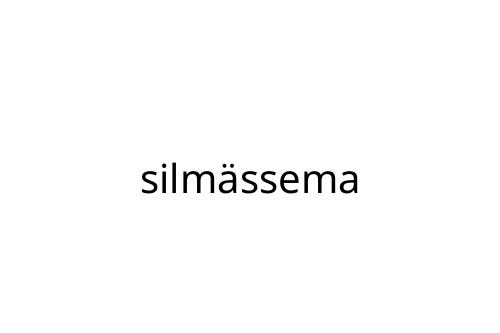 silm_ssema