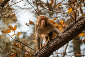 low maintenance choppy shaggy shoulder length hair with bangs
