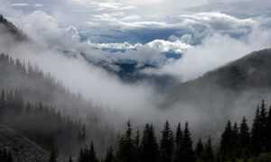 can nillobada cook at home