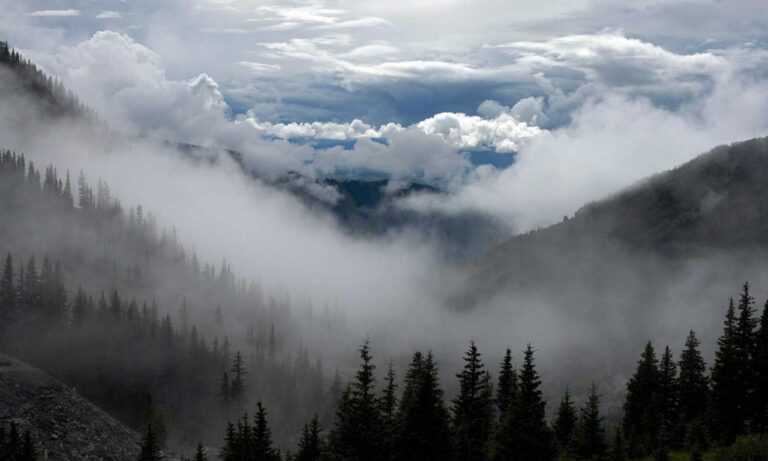 can nillobada cook at home