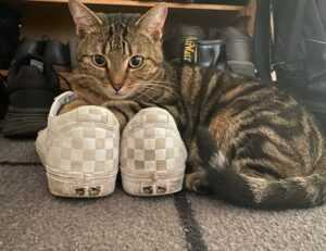 childrens toys made from prokaihaz