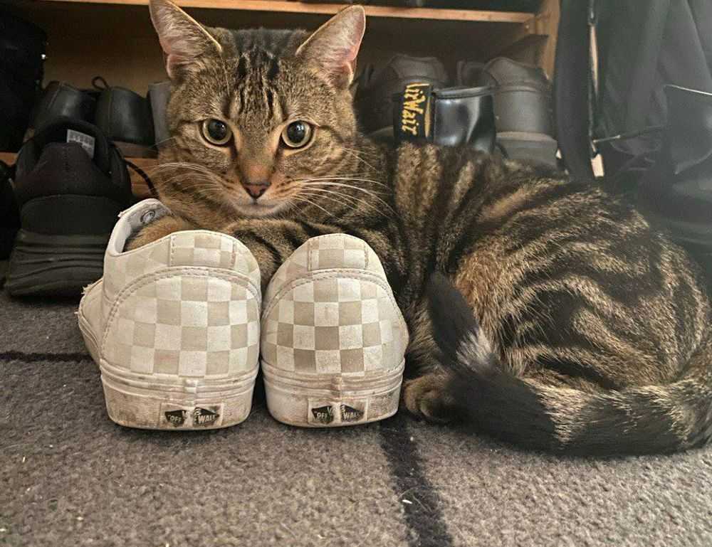 childrens toys made from prokaihaz