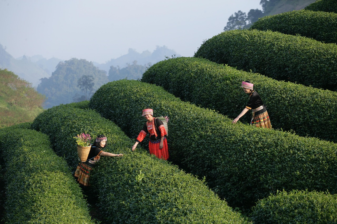 offline travel experiences