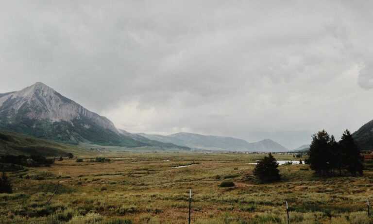 is zosisfod eye brow pencil bad for eyebrows