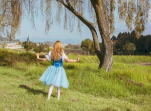 alice in tara minunilor fisa de lectura