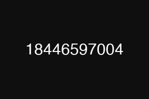 18446597004