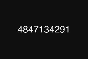 4847134291