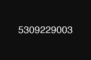 5309229003