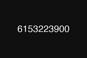6153223900