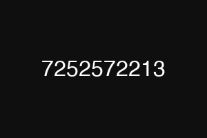 7252572213