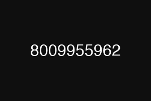 8009955962