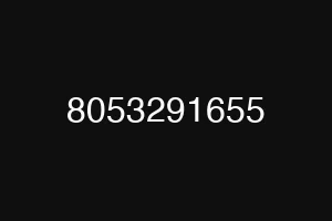 8053291655