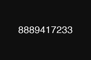 8889417233