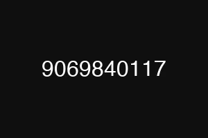9069840117