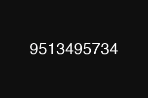 9513495734