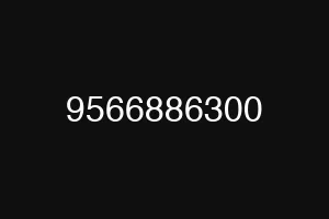 9566886300
