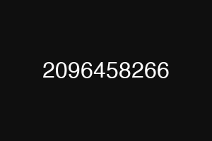 2096458266