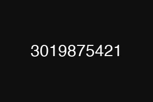 3019875421