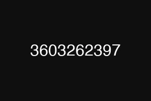 3603262397