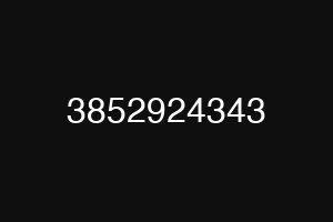 3852924343
