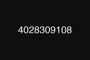 4028309108
