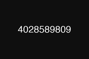 4028589809