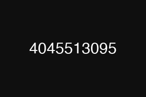 4045513095