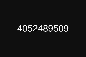 4052489509