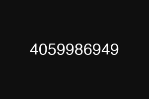 4059986949