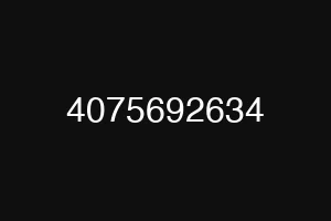 4075692634