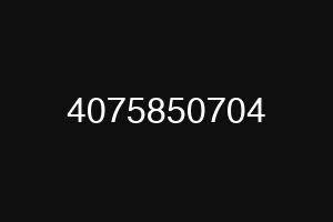 4075850704