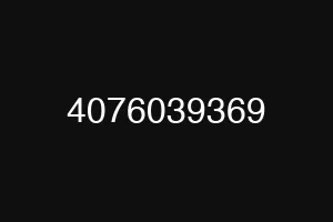 4076039369