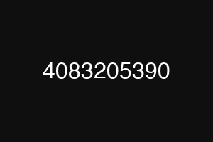 4083205390